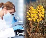 Making Major Strides