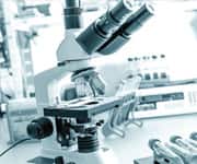 Rebuttal to Study That Declared Vitamin D Ineffective for Hypertension