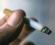 Mitochondria and Aging