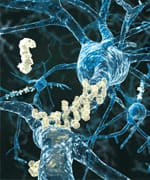 Additional Neuroprotective Effects