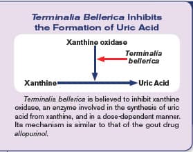 Terminalia Bellerica Inhibits the Formation of Uric Acid