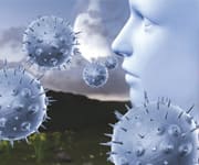 Fight Fungal and Sinus Infections