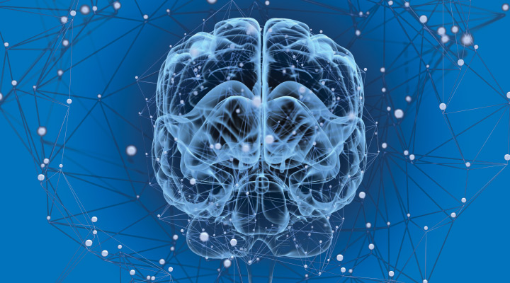 Anti-aging supplements, antioxidants, cardiovascular health, CoQ10, health, healthy living, PQQ, Supplements.