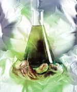 Astaxanthin’s Brain Benefits