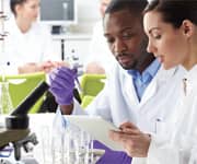 Blueberries and Nutrients for the Brain