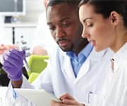 Green Tea Promotes Bone Health