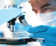 How Milk Thistle Works