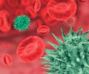 Scientists Explore Milk Thistle’s Anti-Aging Benefits