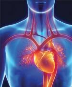 Higher Serum Magnesium Levels Linked with Lower Risk of Heart Disease and Sudden Cardiac Death