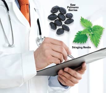 Natural Treatments for Prostate Health