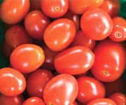 Lycopene May Slow Cancer Progression