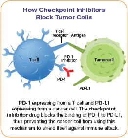 Sparking an Immune Alert against Cancer