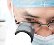 Isoflavone Extends Life of Fruit Fly