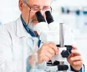 Importance of Prebiotics