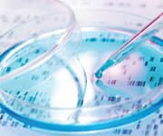 Programming Our Cellular Genes like Computers