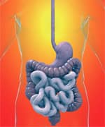 Putting This in Perspective