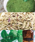 Antioxidant Tea Blend