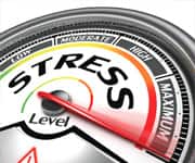 Adaptogens Combat Effects of Chronic Stress