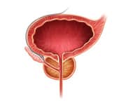 Critical Flaw in Government-Funded Study