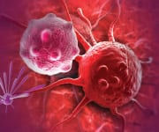 Curcumin’s Multiple Mechanisms of Action