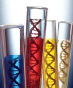 Conclusions Interpretations