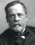 Louis Pasteur