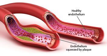 SIDEBAR IMAGE ALT TEXT