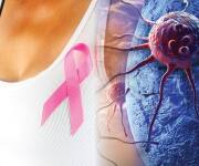 Actions Against Colon and Breast Cancer