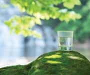 Magnesium Supplementation