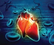Carnosine Fights Glycation