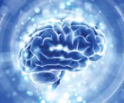 Potent Brain Benefits