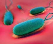 Common Stomach Ailments