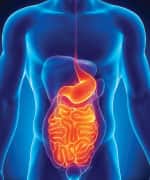 Lactobacillus reuteri