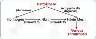 Formation of Deep Venous Thrombosis