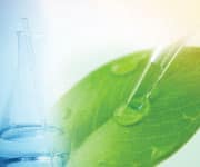 Quercetin vs. Pesticides