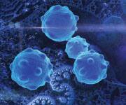 FDA Approves First Anti-Aging Study