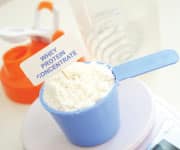 Whey protein isolate