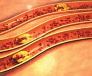 SIDEBAR IMAGE ALT TEXT