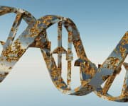 Damaged strand of DNA