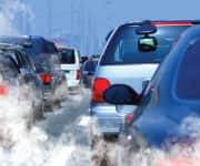 Block the Devastating Effects of Pollution