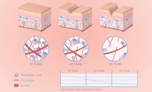 The Natural Skin Repair Process