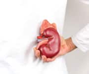 Kidney Disease