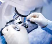 Fasting Fights Leukemia