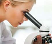 Clinical Studies of French Maritime Pine-Bark Extract and Arginine