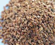 Flaxseed