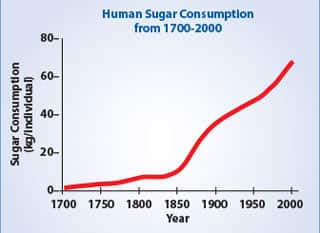 How Sugar Addiction Began
