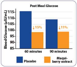 SIDEBAR IMAGE ALT TEXT