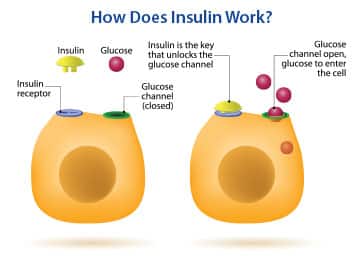 SIDEBAR IMAGE ALT TEXT