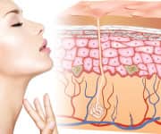 Skin-Lifting and Firming Effects