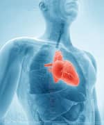 Human Studies on Heart-Disease Reduction